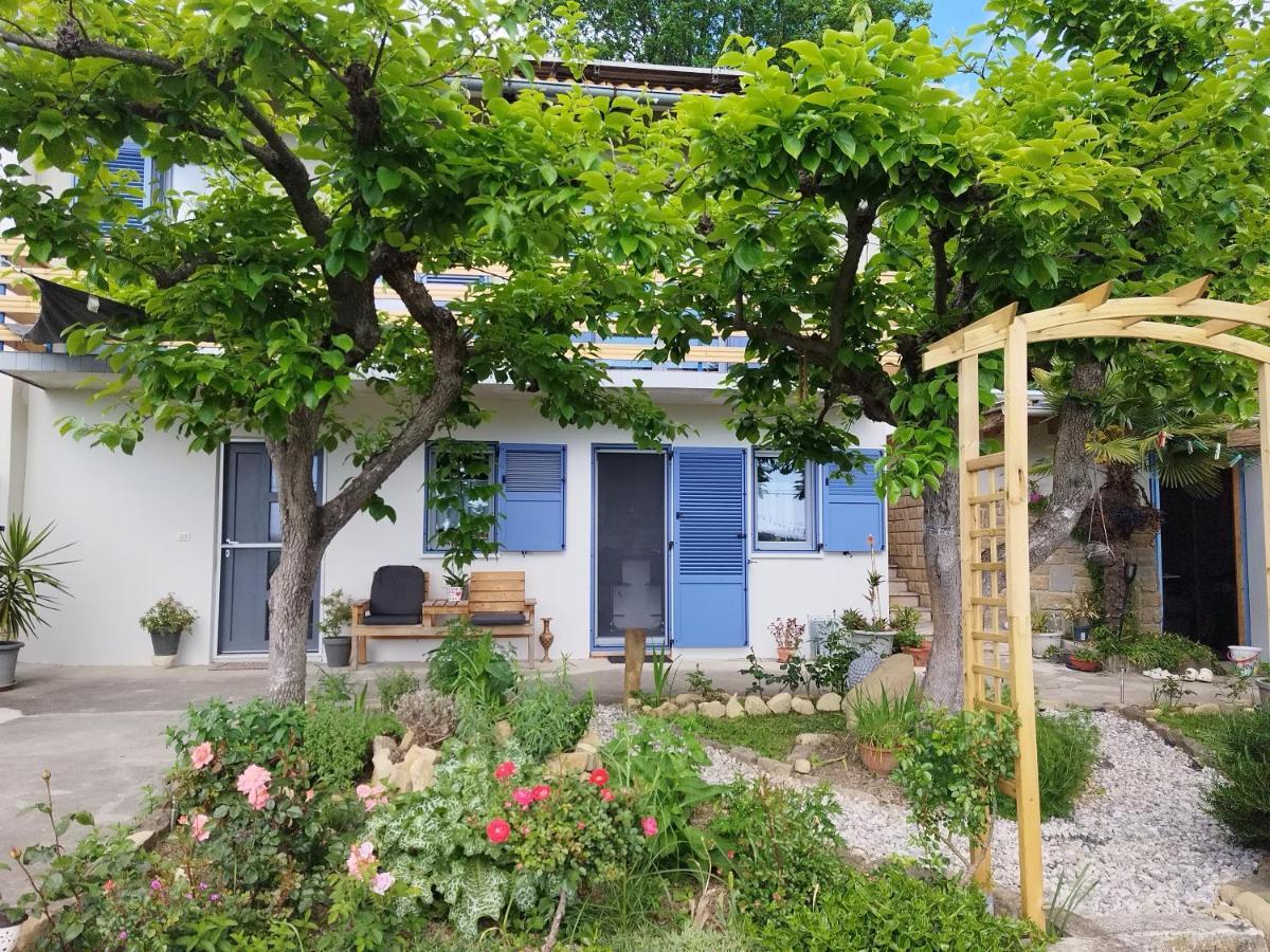לוסיה Apartma Salvia-Guest House מראה חיצוני תמונה