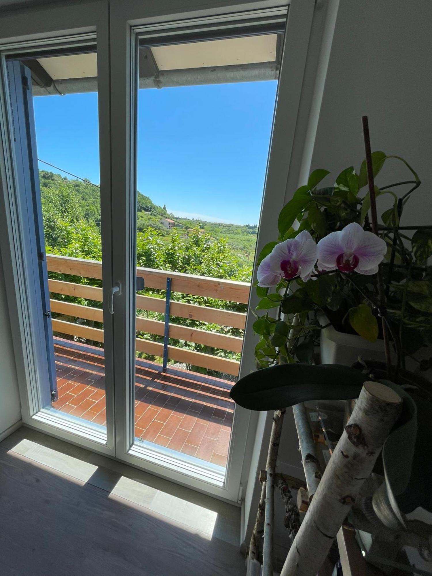 לוסיה Apartma Salvia-Guest House מראה חיצוני תמונה