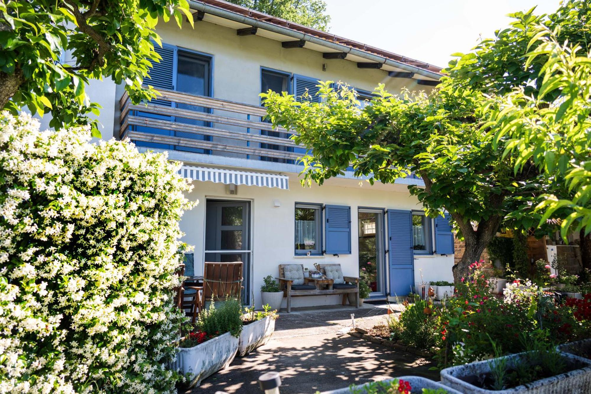 לוסיה Apartma Salvia-Guest House מראה חיצוני תמונה